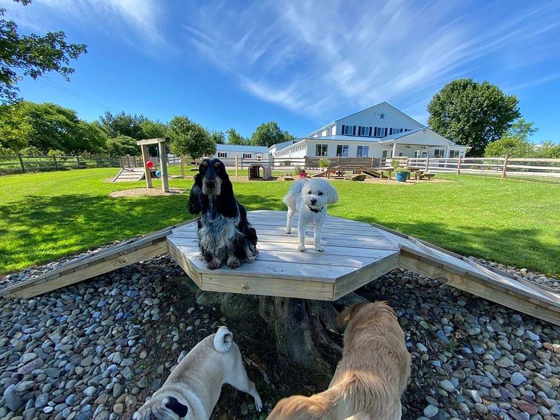 Visit UltiMutt Inn Burton OH Dog Kennels Boarding